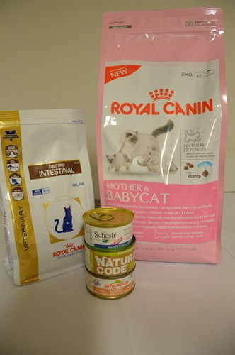 mangiare dei sacri di birmania